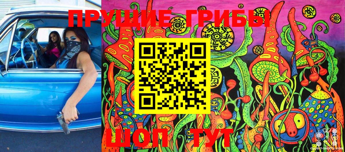 Галлюциногенные грибы Cubensis Ртищево
