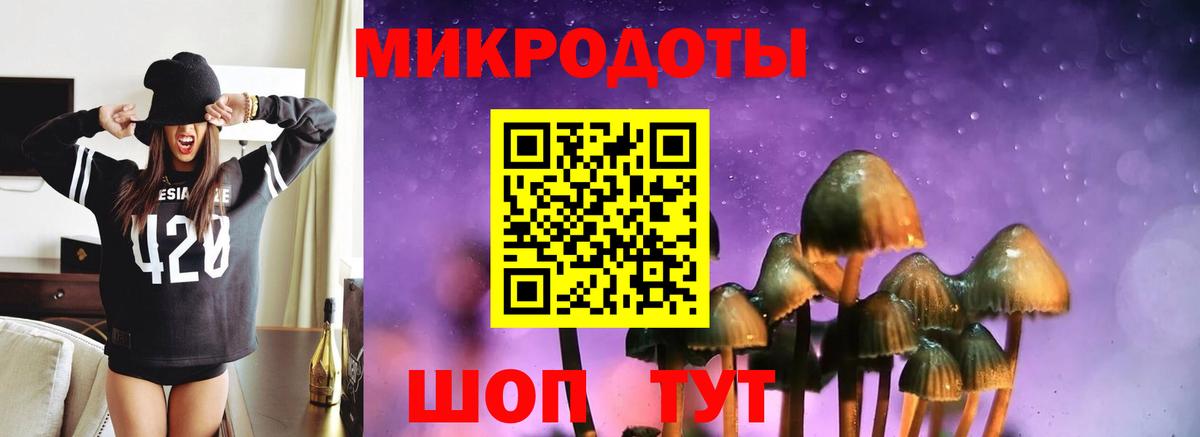 Галлюциногенные грибы мицелий  Вход с VPN  Галлюциногенные грибы мицелий  Ртищево 